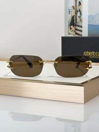 Picture of Roberto Cavalli Sunglasses _SKUfw79280011fw
